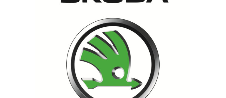 Чип-тюнинг Skoda